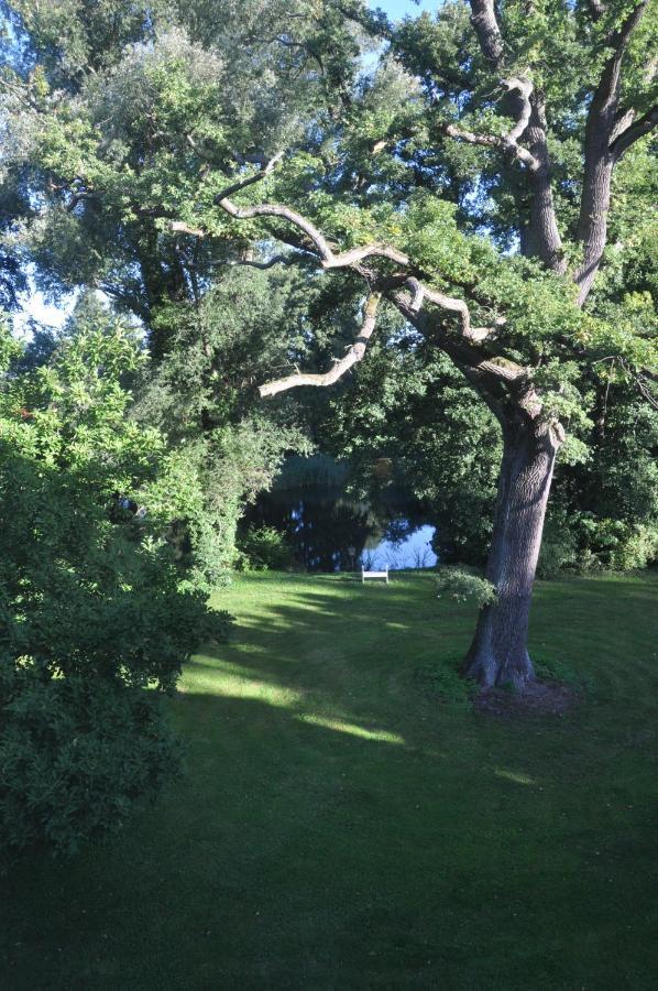 Gartenzimmer Im Schloss Neuhausen Neuhausen  エクステリア 写真