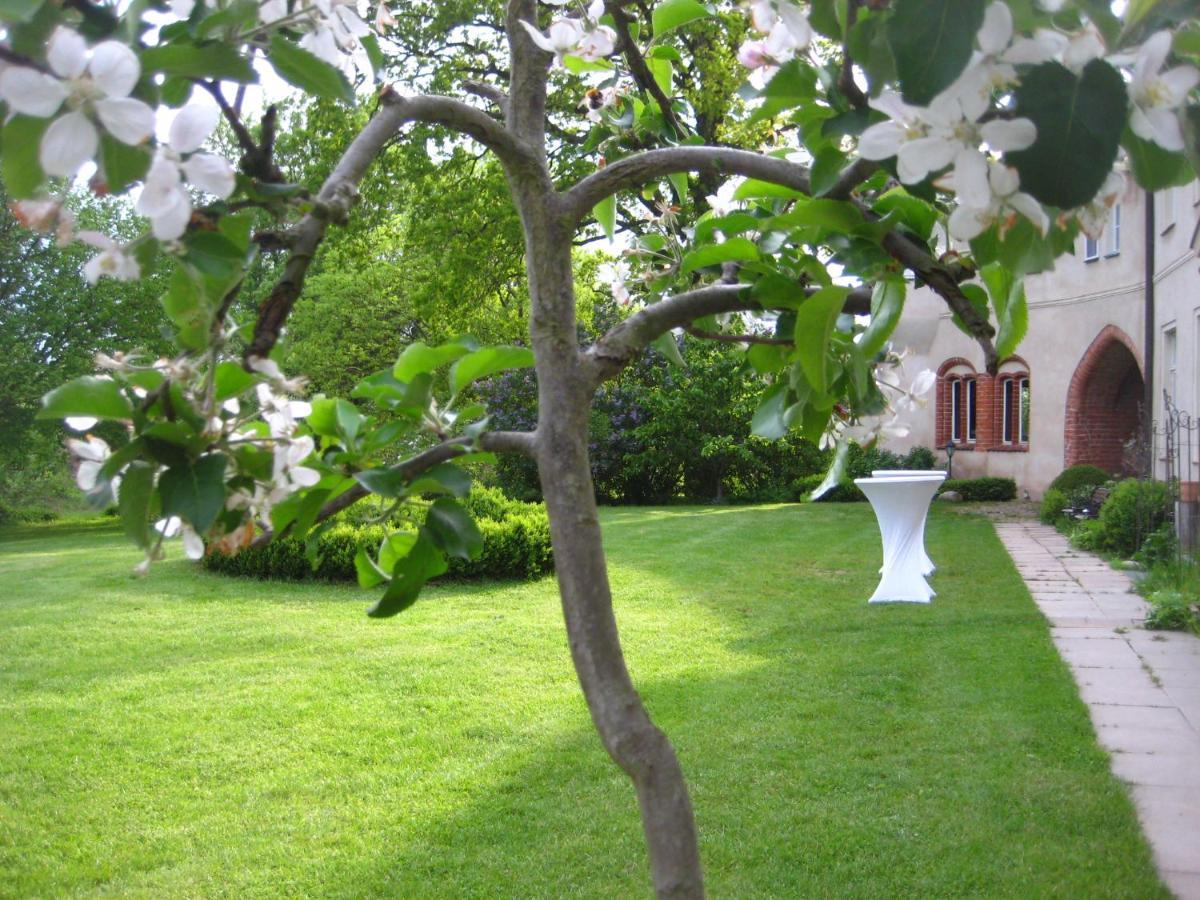Gartenzimmer Im Schloss Neuhausen Neuhausen  エクステリア 写真