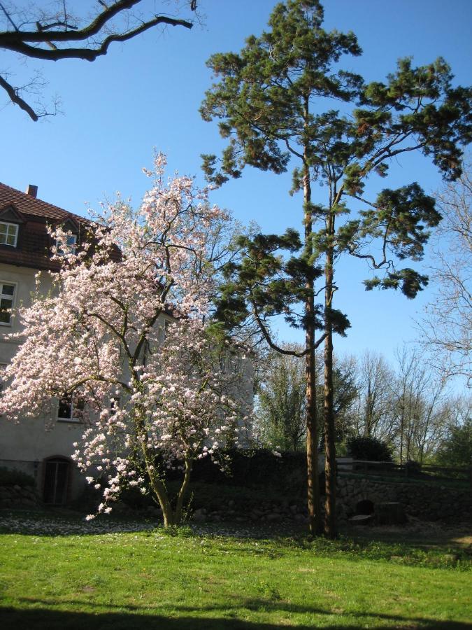 Gartenzimmer Im Schloss Neuhausen Neuhausen  エクステリア 写真